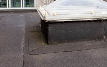 disadvantages of Riggs flat roofs