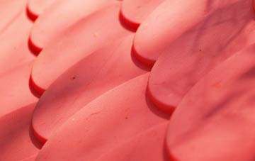 Riggs plastic roof costs