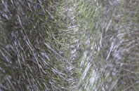 Riggs fibreglass roof work